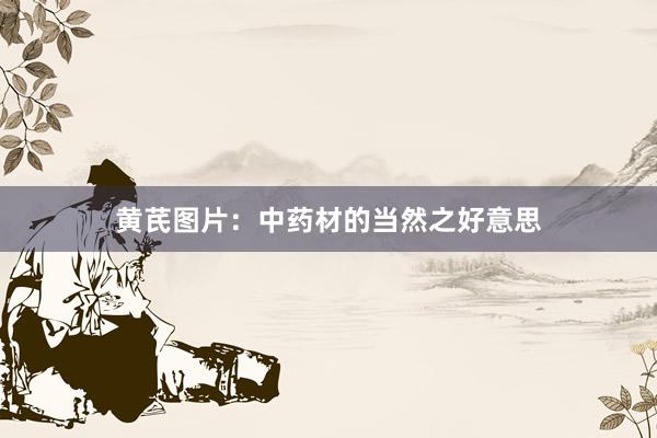 黄芪图片：中药材的当然之好意思